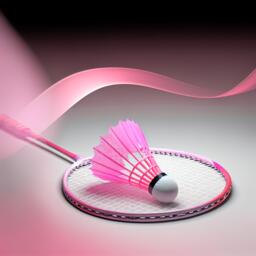 Badminton pour la bonne cause : Le Trégunc Badminton Club ouvre ses portes pour Octobre Rose le 17 octobre