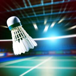 Match Décisif pour Arnage-Mulsanne : L'Heure de la Rédemption Face à Rennes en N3M de Badminton